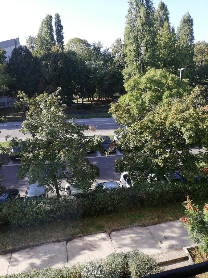 Apartman Vanja Belgrad Zewnętrze zdjęcie